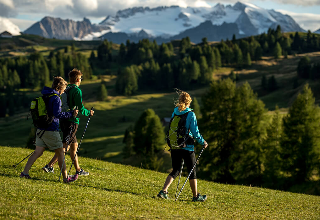 Orienteering medium